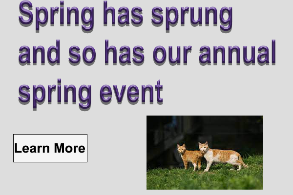 spring event