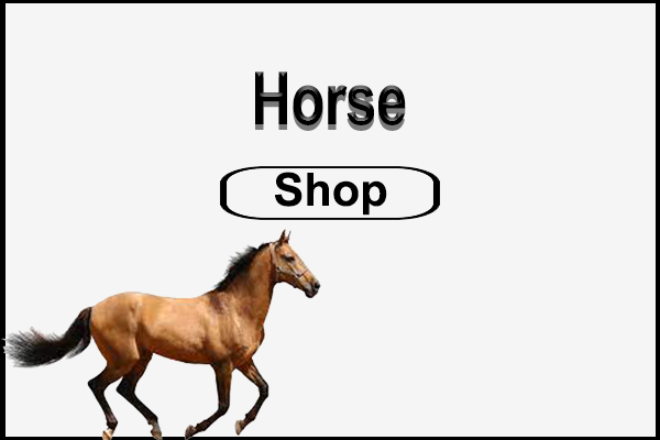 Horse Shop icon