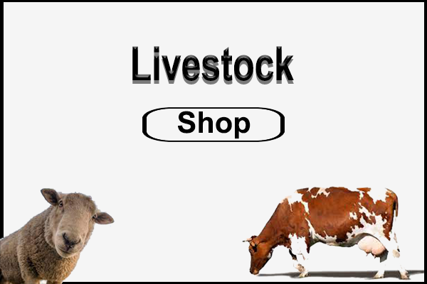 Livestock Shop icon