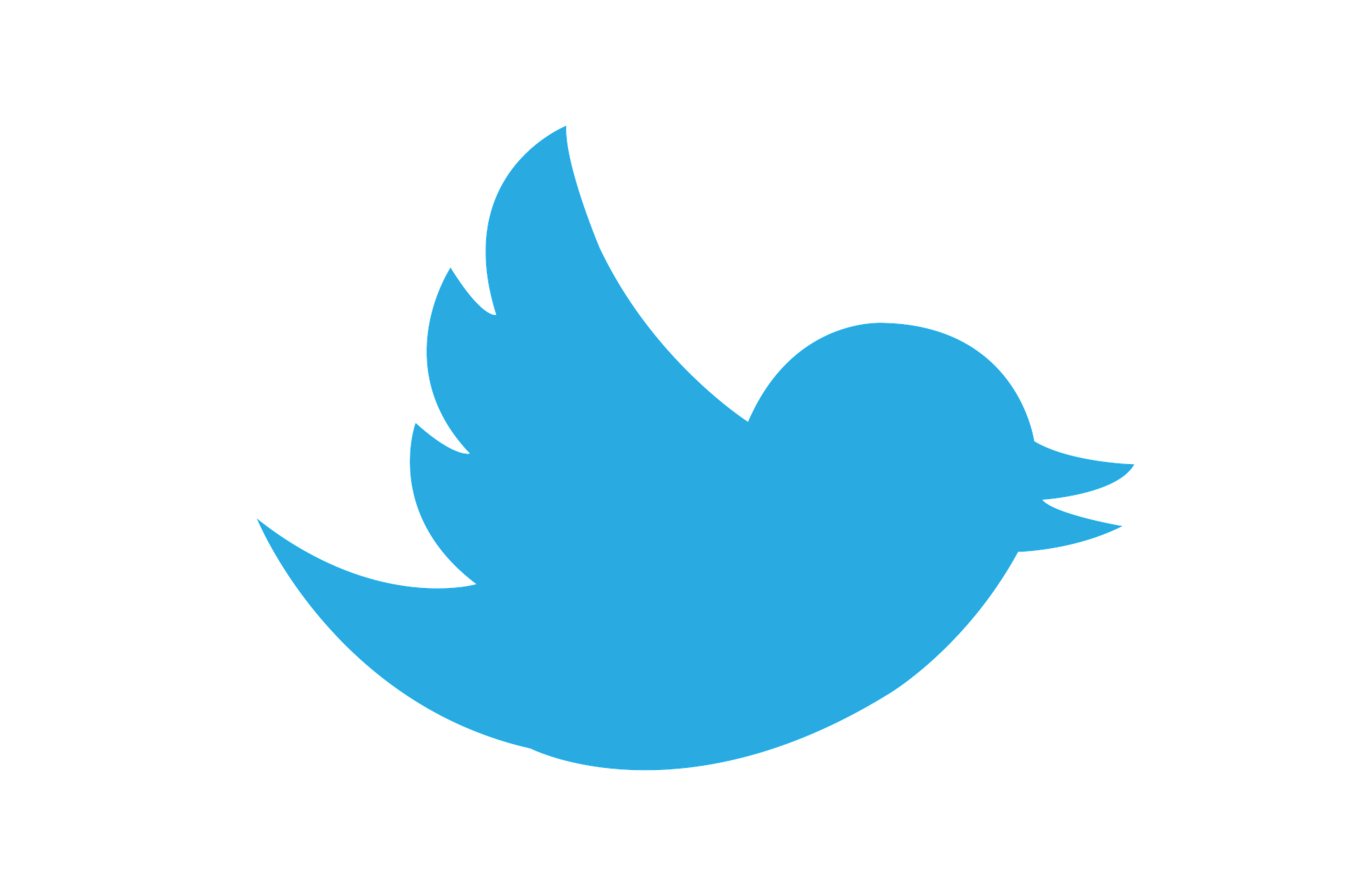 Twitter Logo